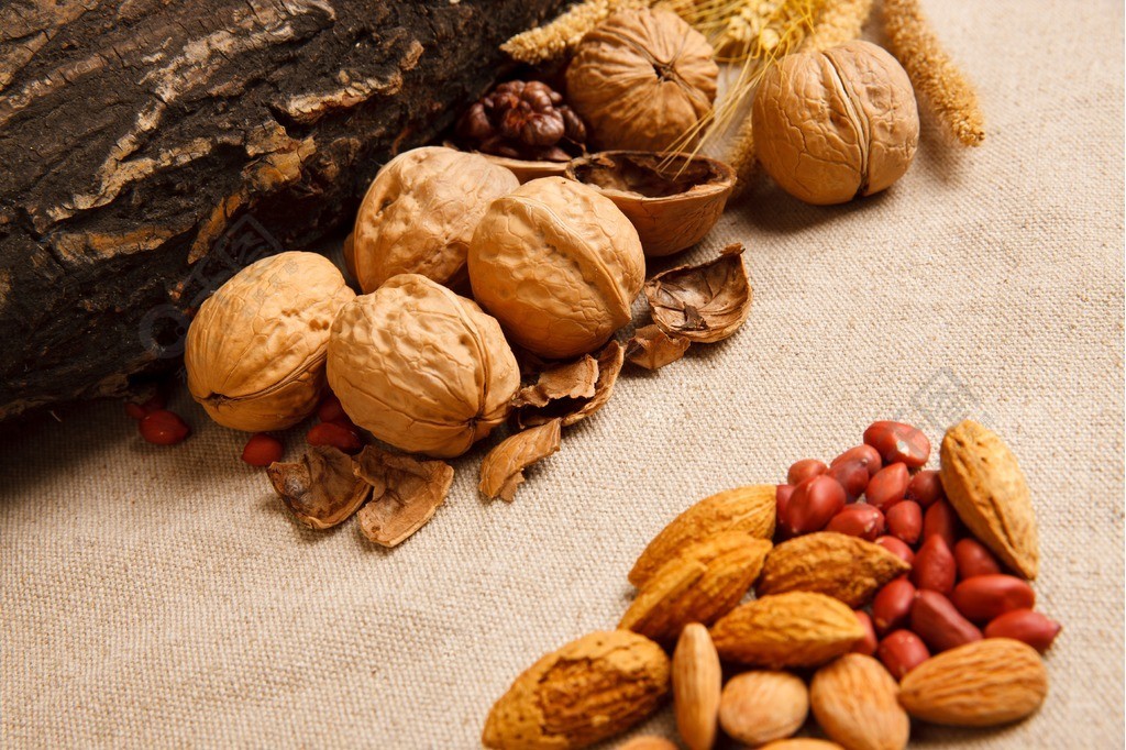 高清堅(jiān)果世界 免費(fèi)下載5616像素JPG實(shí)拍圖集